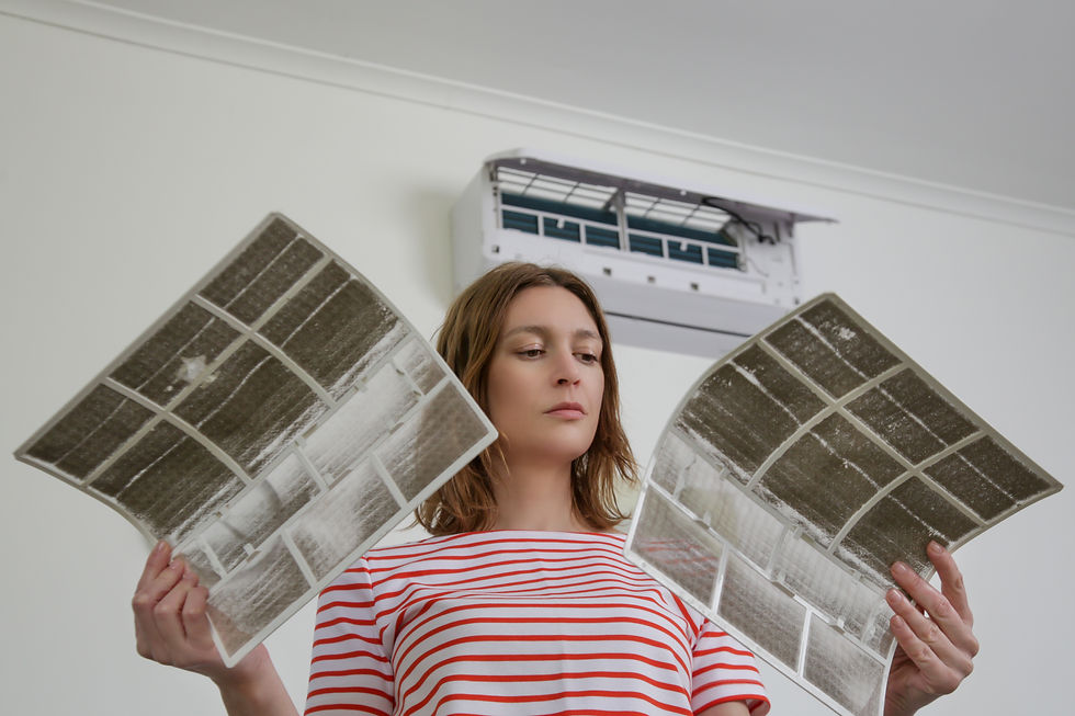 Picture of woman changing air filters