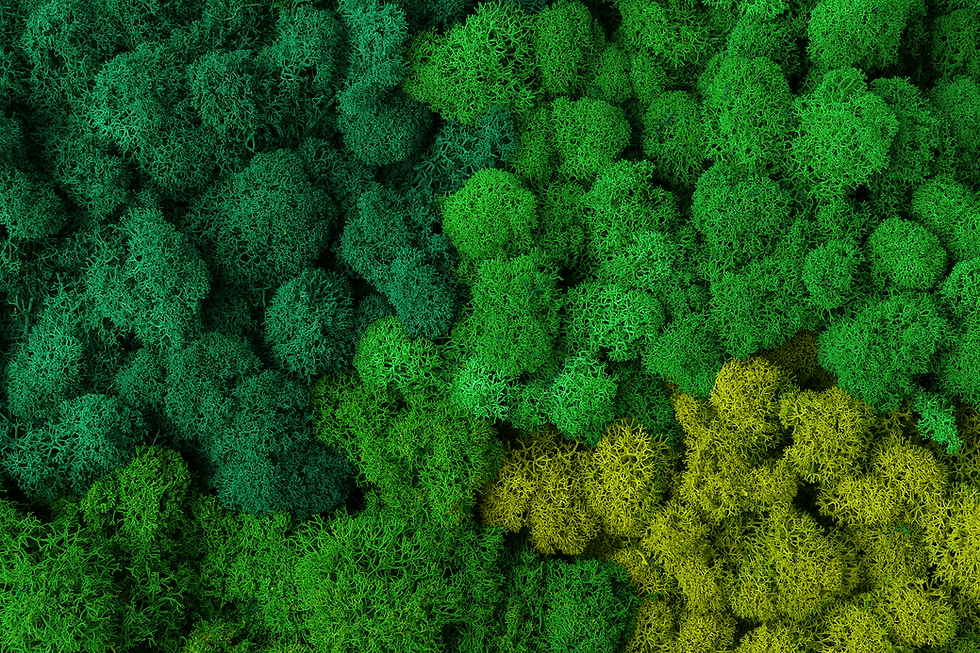 Moss Decor Shop - Scandinavian home decor