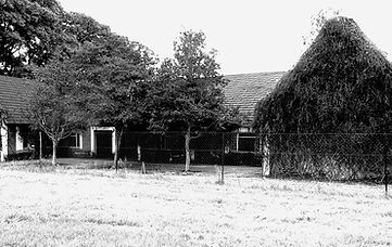 Image-1.jpg