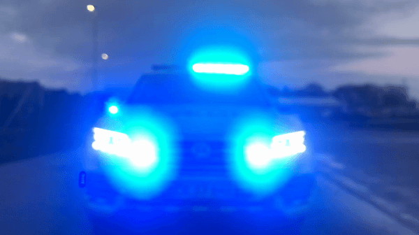 75223037_434394497228610_760281765845034