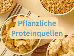 Pflanzliche Proteinquellen: So deckst du deinen Bedarf