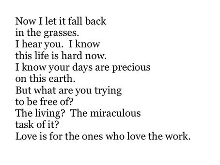 Love is for the Ones Who Love the Work