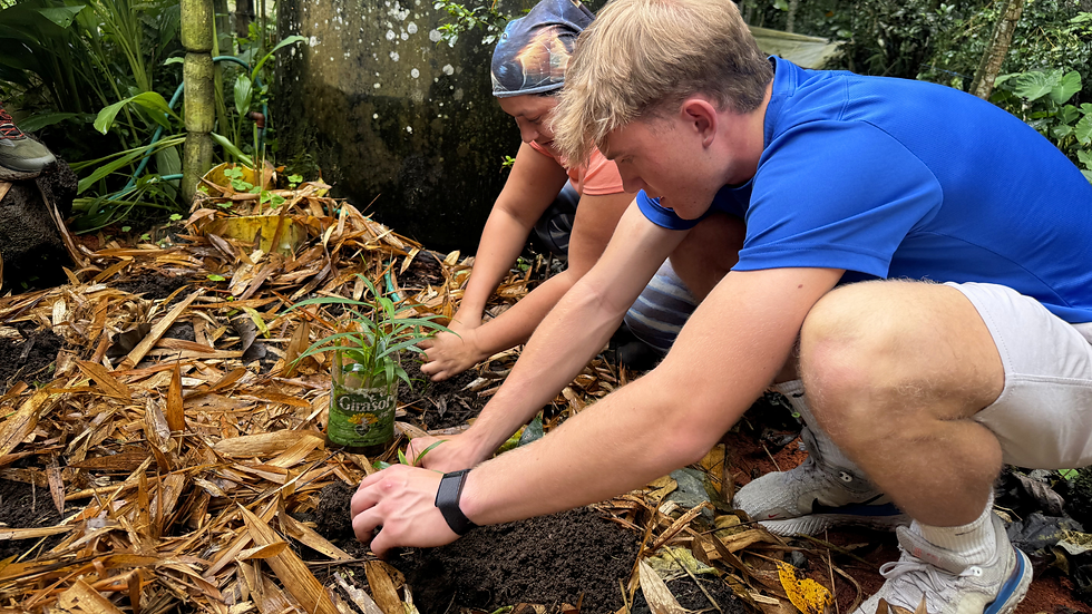 Two people kneel planting a seedling in a tropical garden, with a Girasol bottle used as a planter.