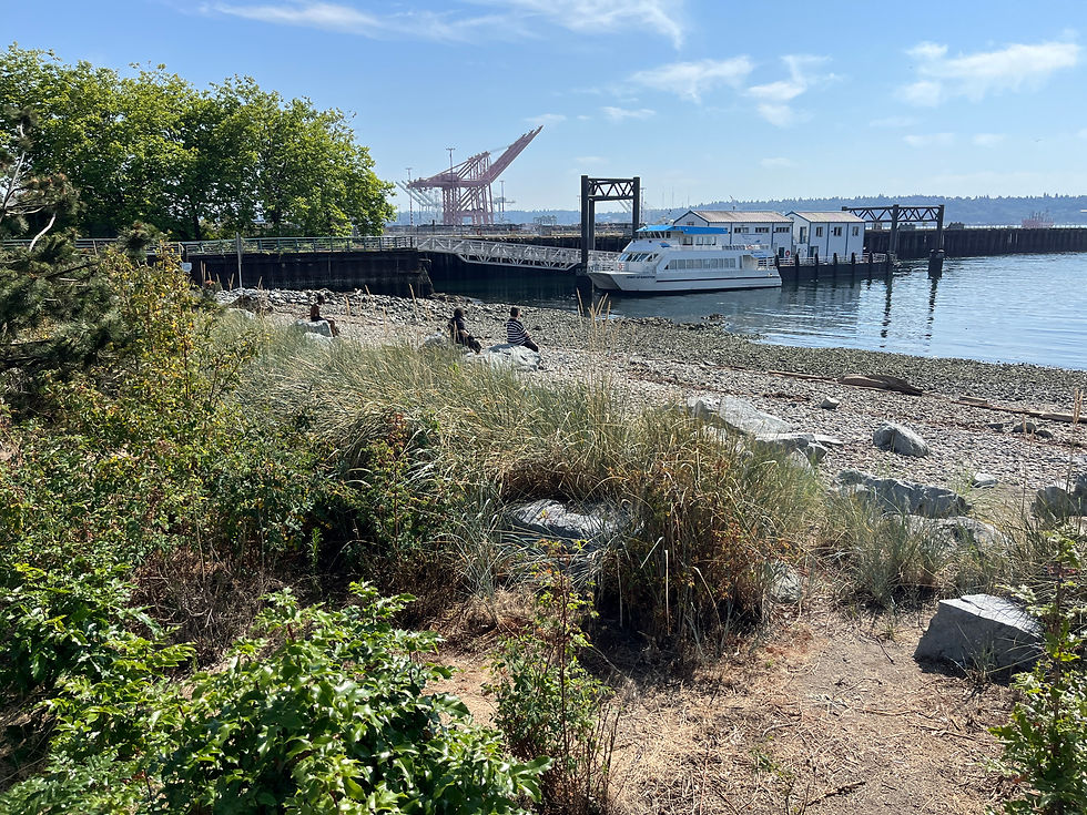 People sit on a rocky beach by a ferry dock, with a white ferry, industrial cranes, and blue sky over calm water.