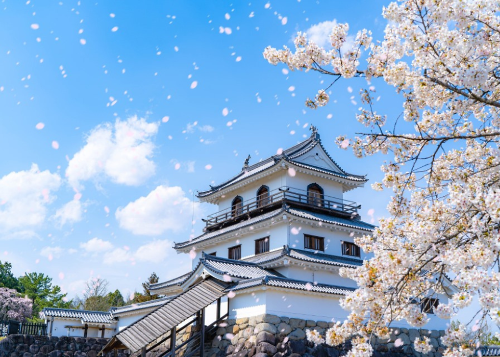 A Japanese castle surrounded by cherry blossoms under a blue sky with floating petals, creating a serene and picturesque scene.