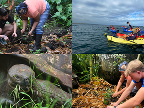 Top 10 Highlights from A Galápagos Islands Adventure: A Student's Perspective