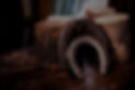 horseshoes leaning on a stump