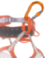 Thumbnail: Mosqueton, Camp Orbit Screw- Lock
