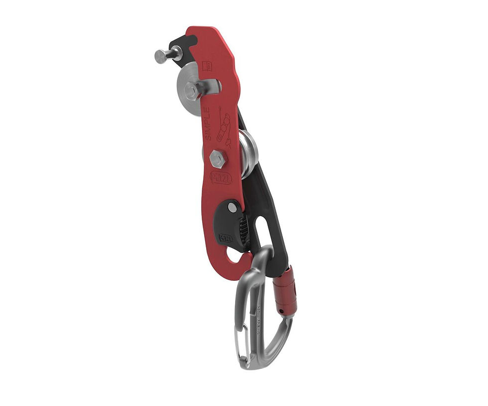 Miniatura: Descensor "SIMPLE" de Petzl
