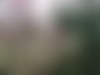 week 2: the deep south - tennessee, georgia, alabama, mississippi, louisiana