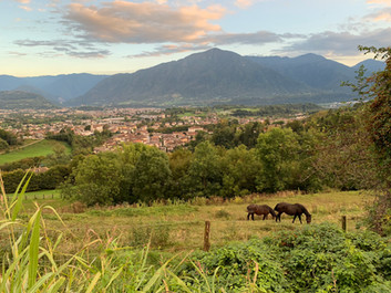 First Month in Italy!