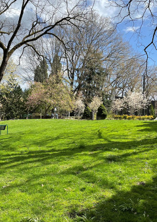 Scott Park 4 5 2022.jpg