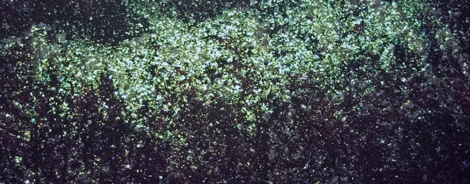 Diamond  Flake Green (10g)