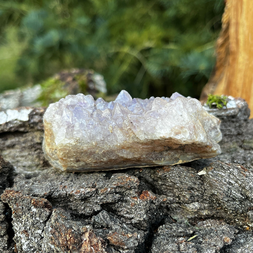 Szczotka ametystowa, minerały, kryształy, naturalne kamienie, miłodzieło