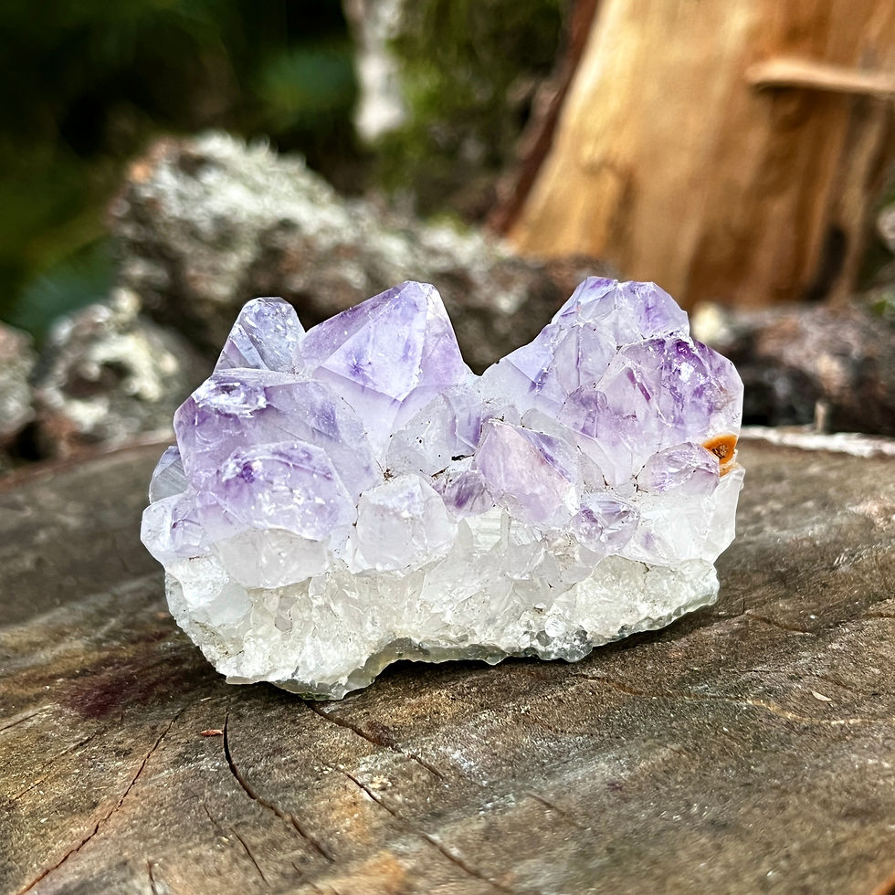 Szczotka ametystowa, minerały, kryształy, naturalne kamienie, miłodzieło