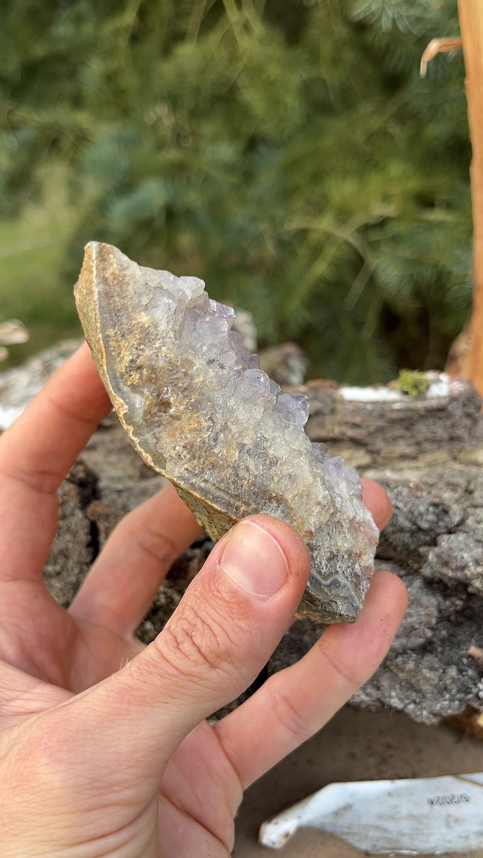 Miniatura: Szczotka ametystowa, minerały, kryształy, naturalne kamienie, miłodzieło