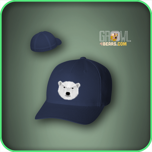 Thumbnail: CAP | POLYGON BEARHEAD