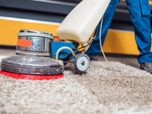 How Clean Carpets Can Improve Comfort and Freshness Inside Harvey Homes