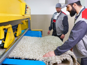 How Harvey’s Humidity Affects Carpet Drying Time and What Homeowners Should Expect