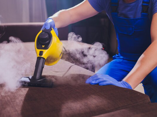 Steam Carpet Cleaning vs. Shampooing: A Practical Comparison for Harvey Residents