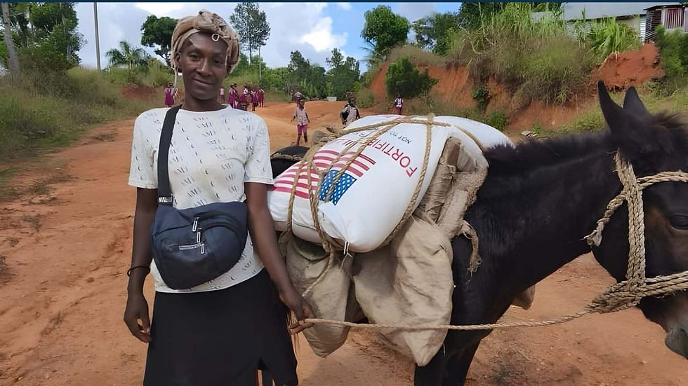 États-Unis : 16 millions de dollars supplémentaires pour renforcer la résilience en Haïti