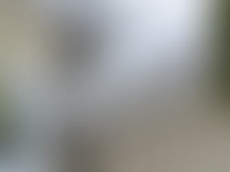 The Impact of the Freeze-Thaw Cycle on Your Roof