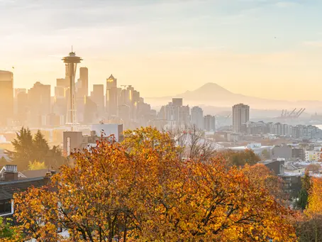 🍂 Fall for Our Latest Updates! 🍁📰
