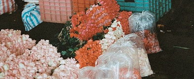 floresjamaica_edited.jpg