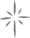 estrella.png