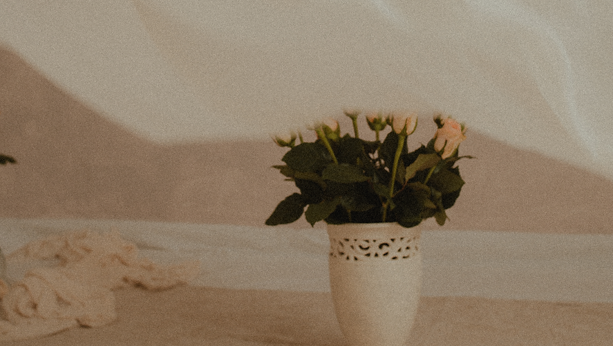 Videos para web amar (9).png