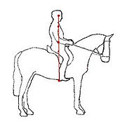 classical riding seat.jpg