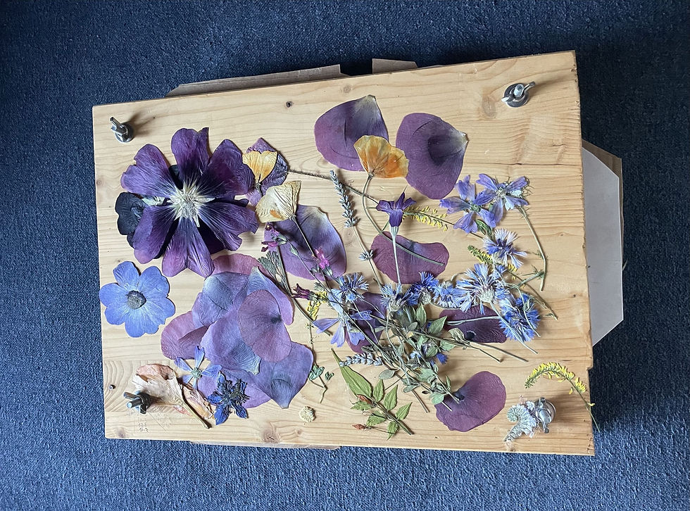 Lentebloemen uit de droogbloemenpers. Zomerbloemen zijn er niet.