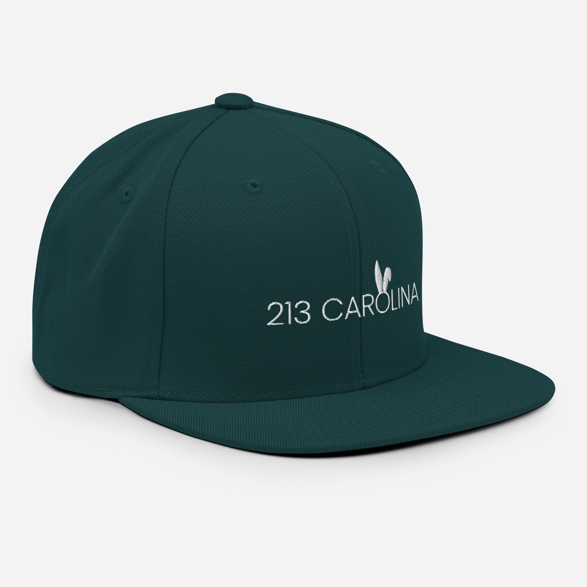 213 Snapback Hat