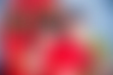 北京承诺会从2030年始减少其污染物排放量.....