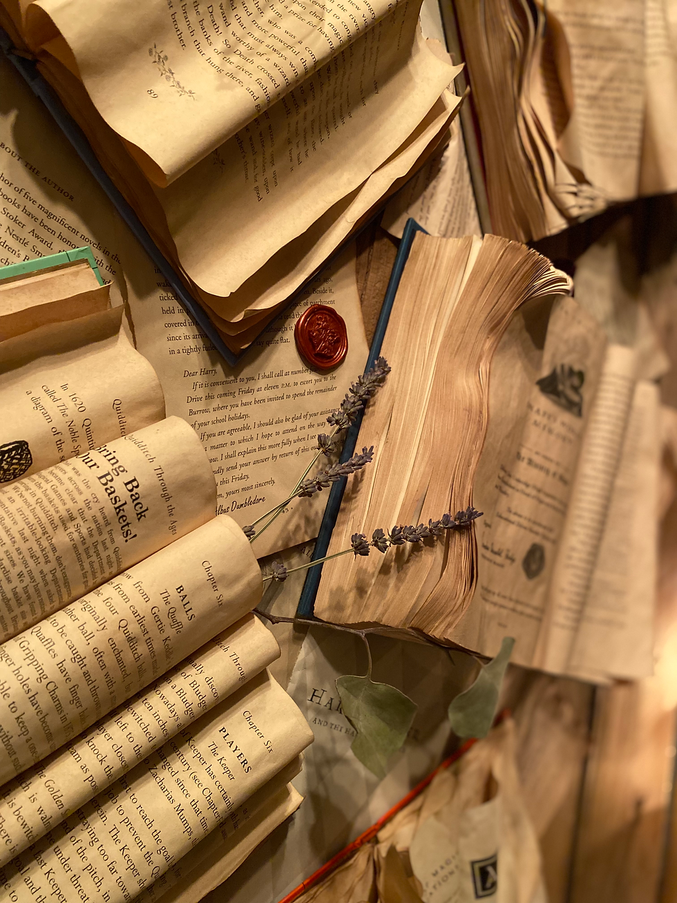 Thumbnail: Five Piece Book Wall Art