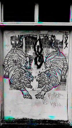 A5B4C988-D189-4BA2-B3B0-BFCF245A8C04_1_201_a