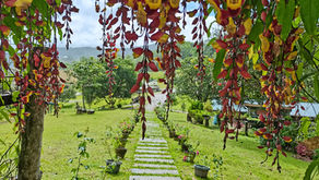 HOGAR – Isang Paanyaya