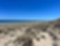 IMG_2236.jpeg
