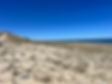 IMG_2233.jpeg