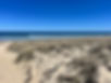 IMG_2235.jpeg
