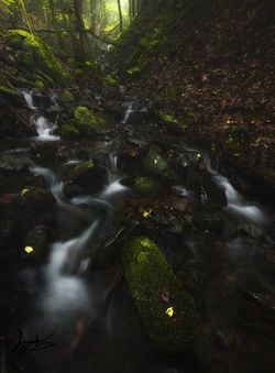 casentino cascatelle copia