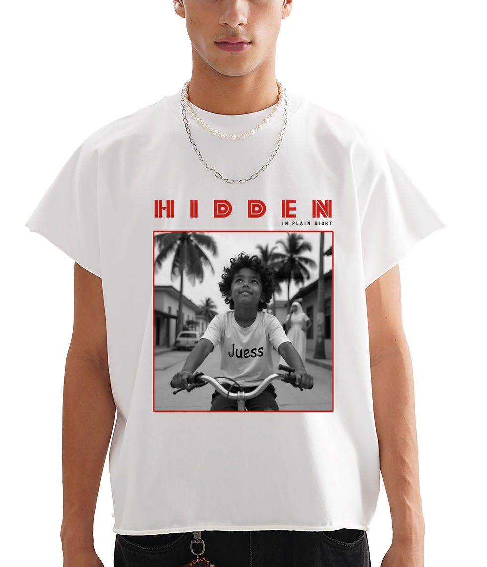 Hidden in Plain Sight | Non-Shrink T-Shirt