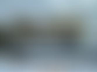 Built From The Bones in Ann Arbor, Michigan