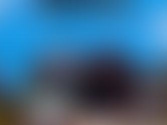 Premium Trim Services in Ann Arbor. Craftsmanship That Defines Every Home.