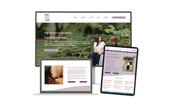 Web Design in Wix Studio