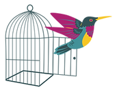 Birdcage with flying bird