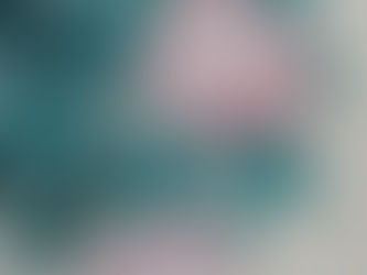 椿花展(ギャラリー杉:秋田)