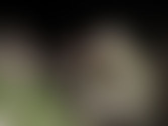 Handwara Encounter: What went down?