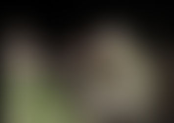 Handwara Encounter: What went down?