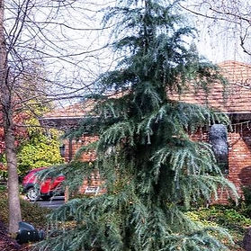 JPEG image-0EC1E92DDF8E-1_edited_edited.